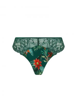 TROPIQUE EN FLEURS NATURE TROPIC